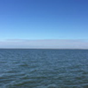 Meet your Posher, Conrad